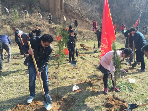 图为植树现场