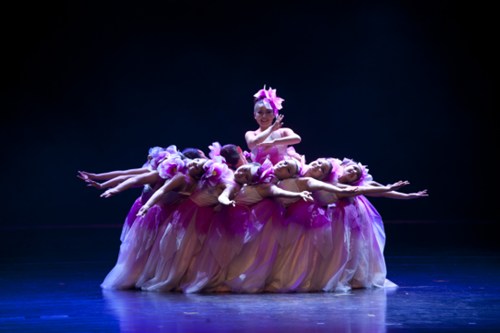 图为：洛阳市特殊教育中心学校表演的舞蹈《初莲》