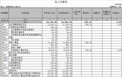 图为2 收入决算表