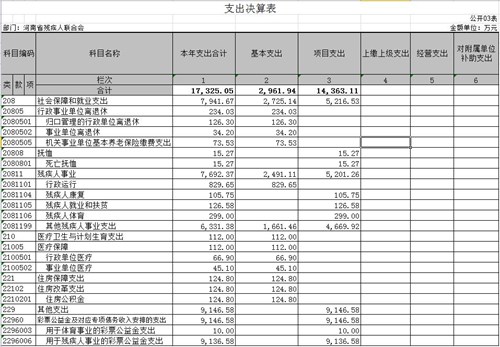 图为3 支出决算表